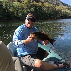 Meet your Posher, Terry